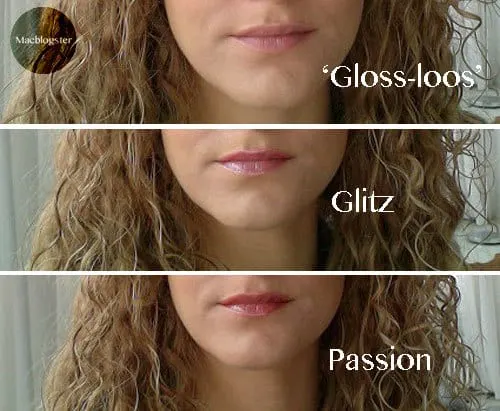 Beautycycle Lipgloss 'Glitz' & 'Passion' Artistry beautycycle glitz passion