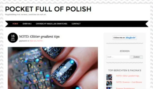 5 Must read blogs als je gek bent op….. 12 Must read blogs: Pocket full of Polish
