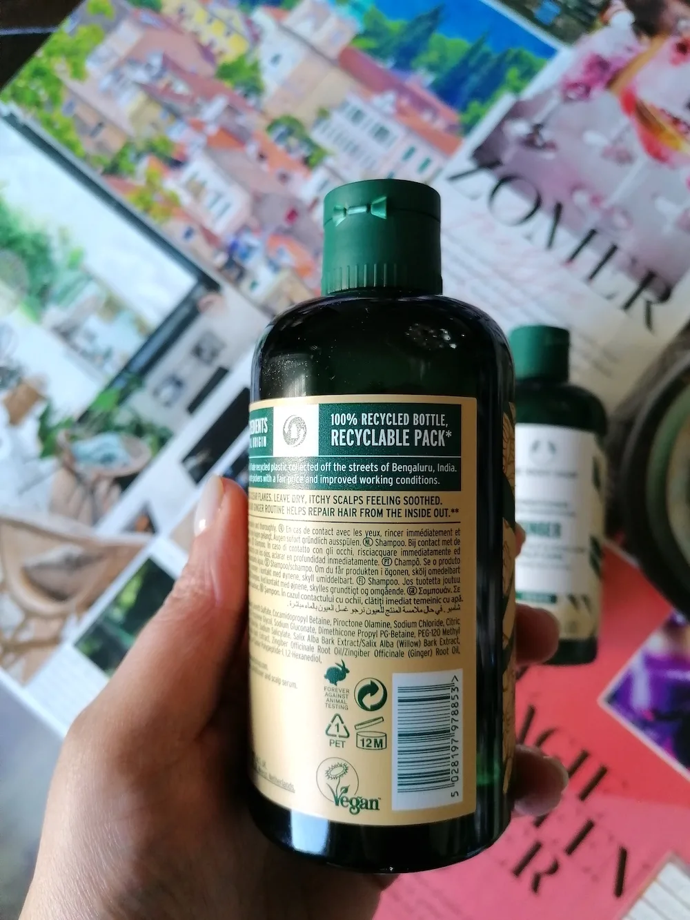 body shop ginger shampoo